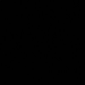 Meet your Posher, Bryant